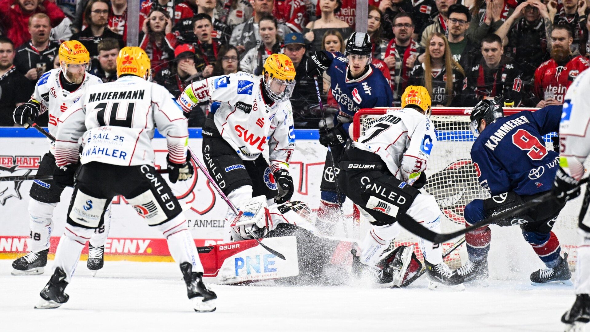 Klner Haie – Pinguins Bremerhaven – PENNY DEL