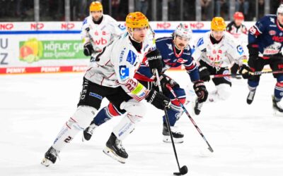 Pinguins zu Gast in Nürnberg