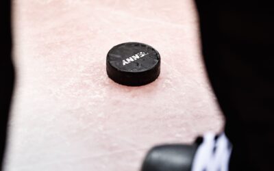 Fischtown Pinguins erhalten die Lizenz für die Saison 2026/2027