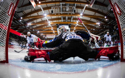 Pinguins empfangen die Adler Mannheim