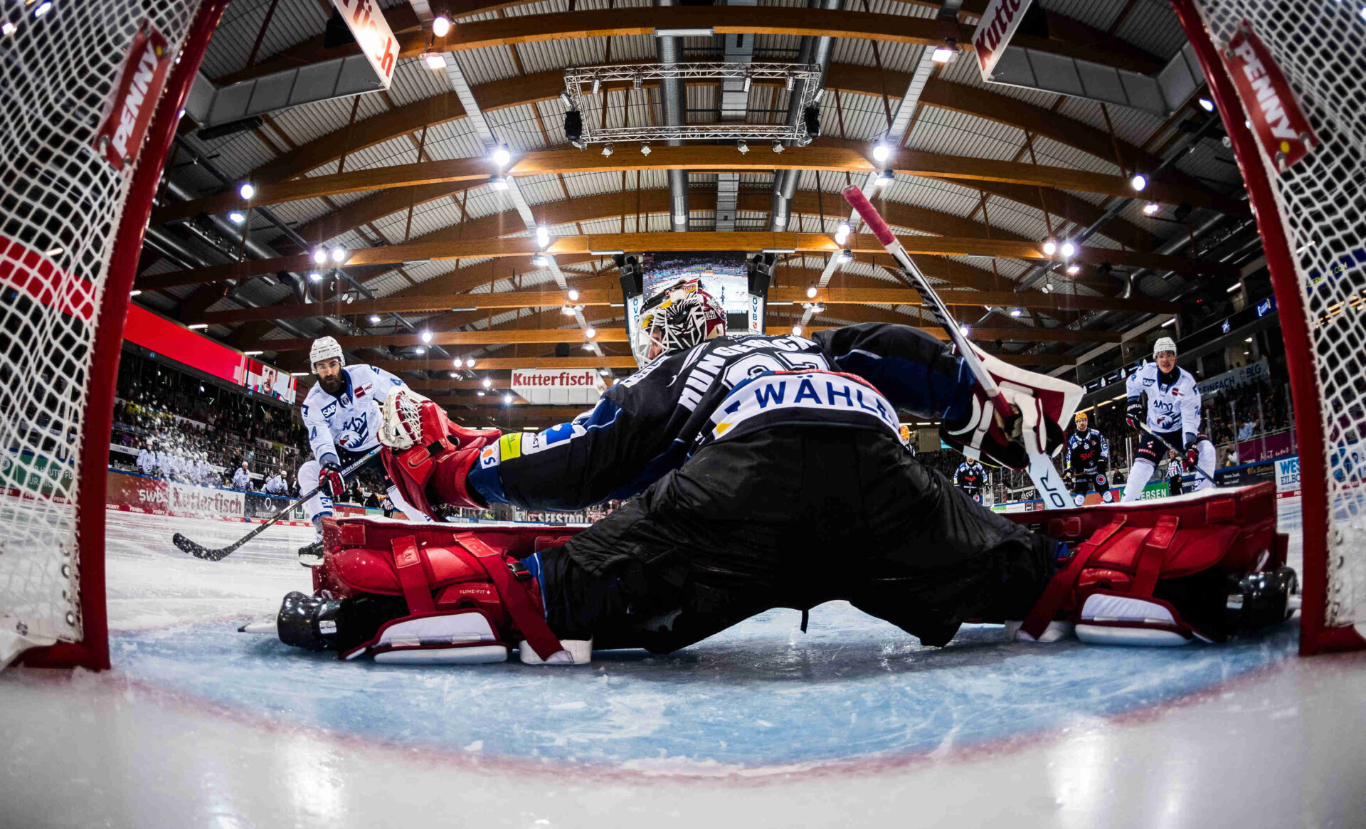 Fischtown Pinguins Bremerhaven gegen Adler Mannheim – PENNY DEL