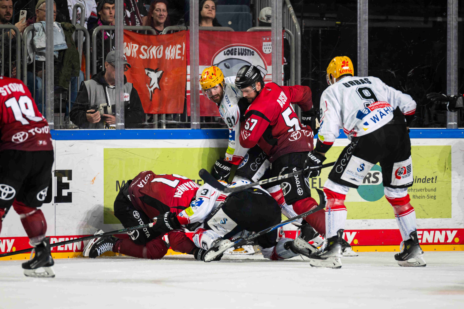 Klner Haie gegen Pinguins Bremerhaven – PENNY DEL