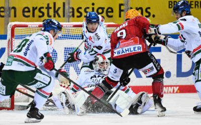 Pinguins empfangen die Augsburger Panther am 3. Advent
