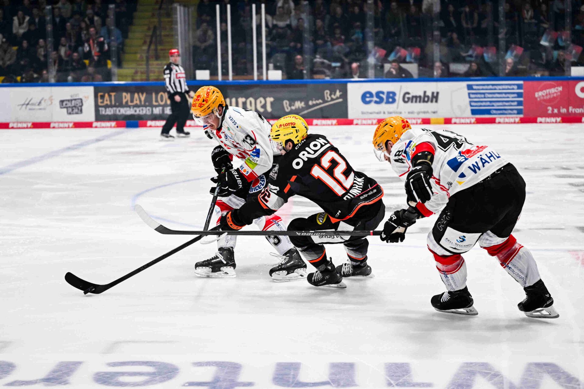 Löwen Frankfurt – Fischtown Pinguins Bremerhaven – PENNY DEL
