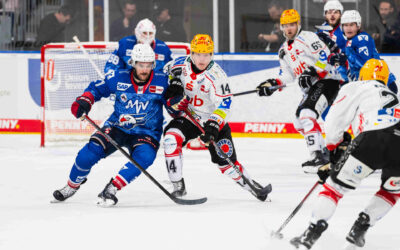 Bewährungsprobe für die Pinguins – Standortbestimmung bei den Adler Mannheim