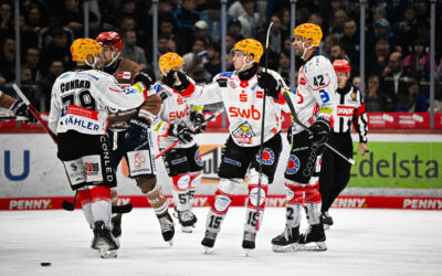 6:2 Auswärtserfolg gegen die Wild Wings