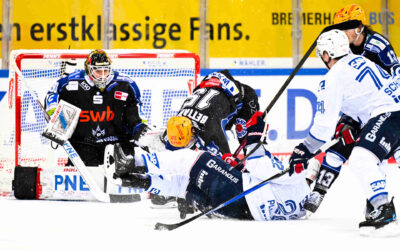 Start der Pinguins im Viertelfinale – Adler beginnen mit Heimrecht die Serie