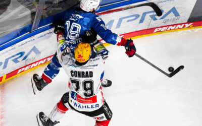 Spiel 5 in Mannheim – Pinguins wollen mit zweitem Sieg die Serie verlängern