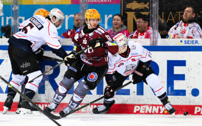 Pinguins wollen mit zweitem Sieg ins Viertelfinale einziehen