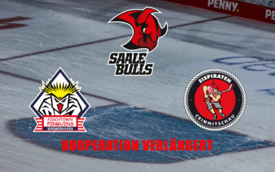 Fischtown Pinguins erweitern Kooperationsnetzwerk: Saale Bulls Halle ergänzen Partnerschaft mit den Eispiraten Crimmitschau