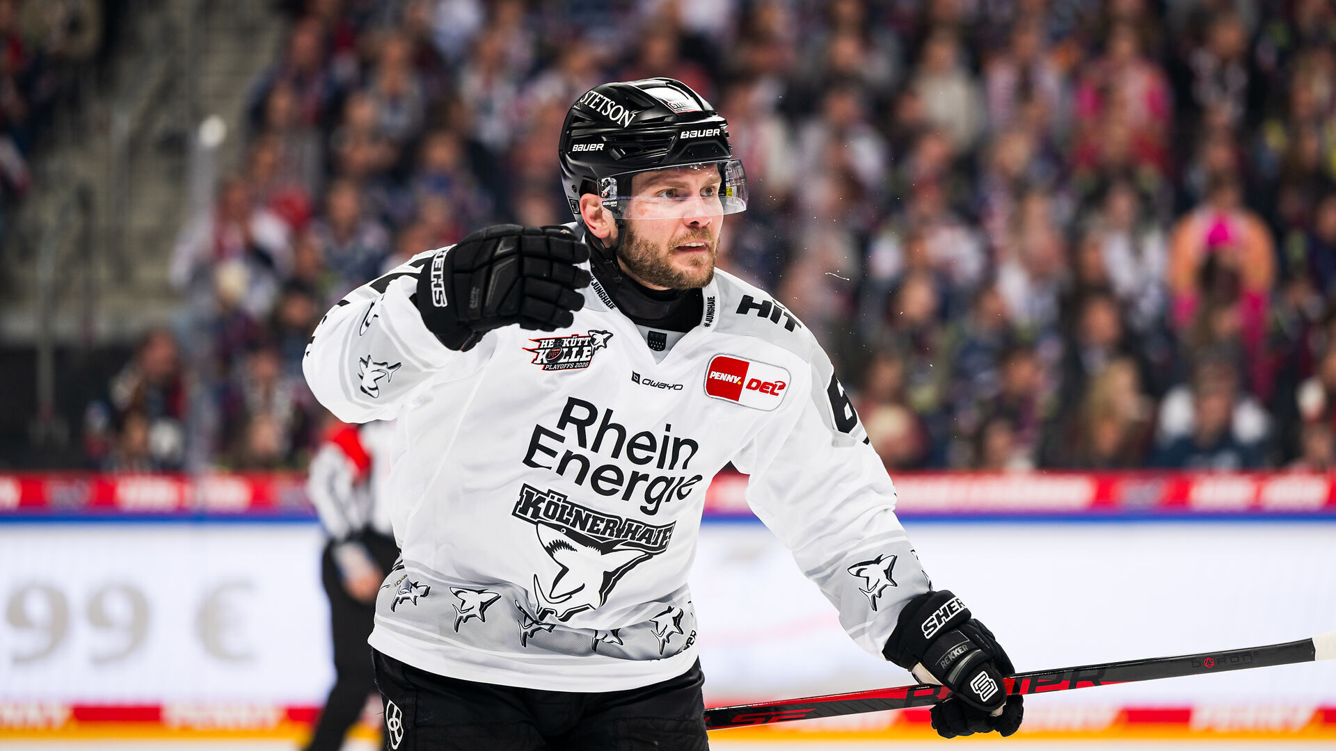 Eisbren Berlin gegen Klner Haie – PENNY DEL