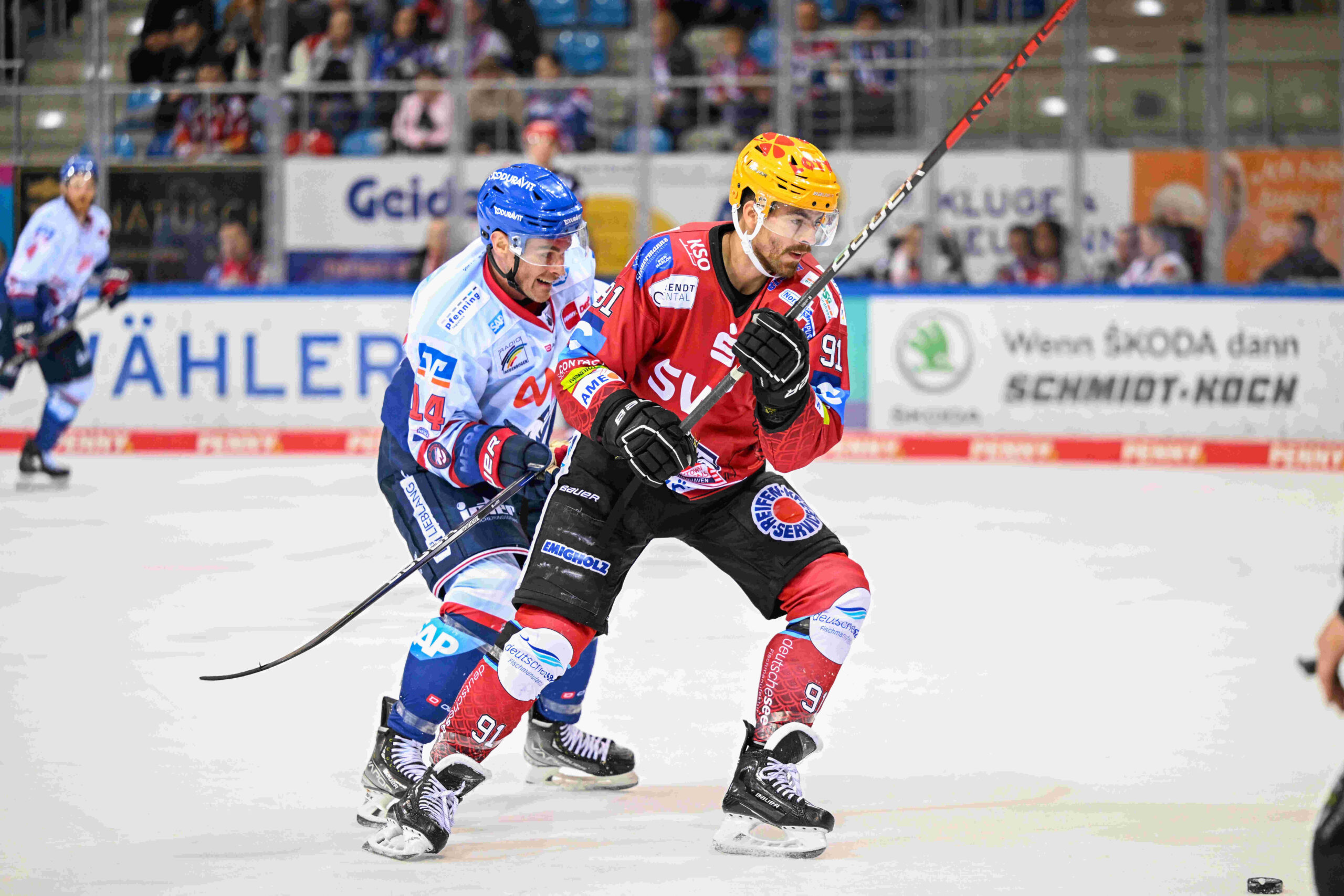 Fischtown Pinguins Bremerhaven – Adler Mannheim – PENNY DEL